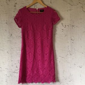LAUNDRY PINK LACE SHIFT DRESS 4